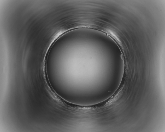 X0000087350899200704271417