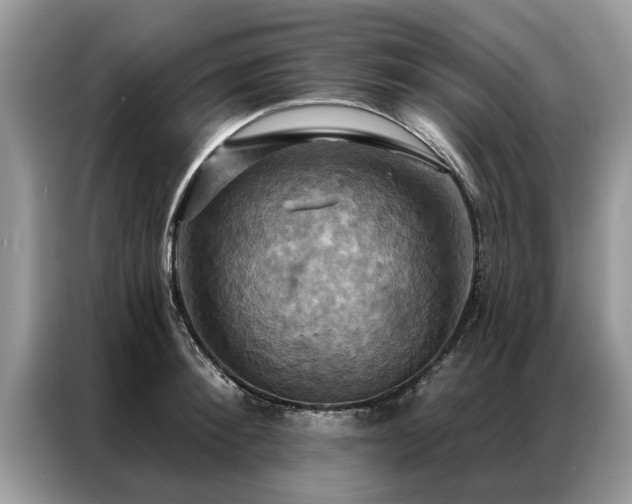 X0000087350900200704271417
