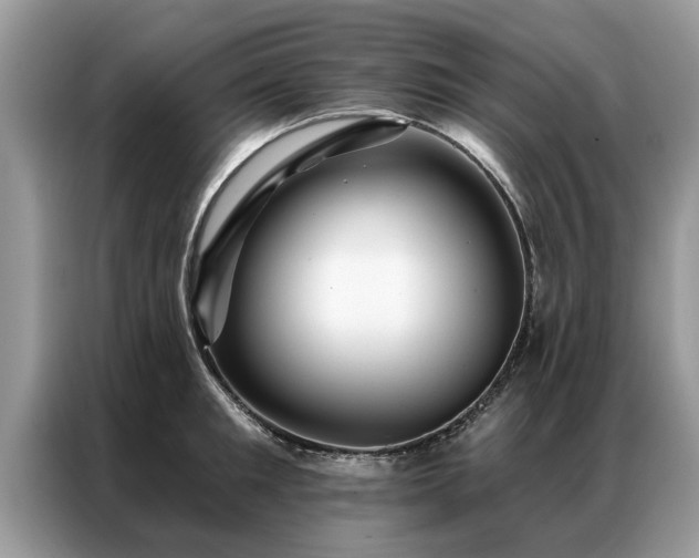 X0000087350901200704271417