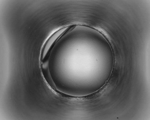 X0000087350902200704271417