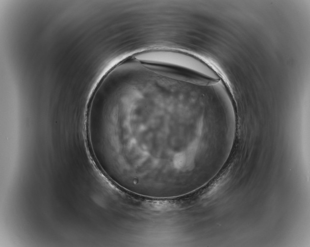 X0000087350903200704271417