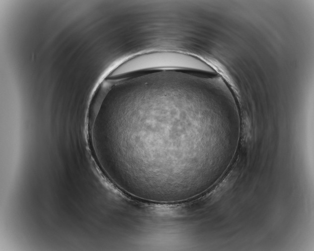 X0000087350904200704271417