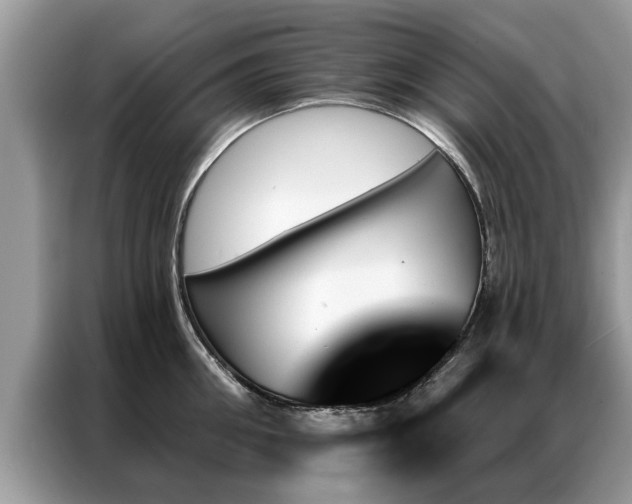 X0000087350906200704271417