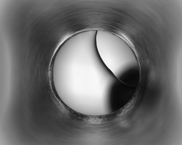 X0000087350907200704271417