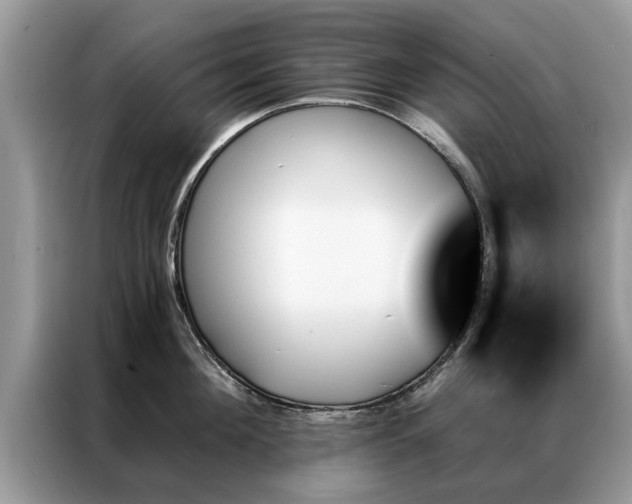 X0000087350908200704271417