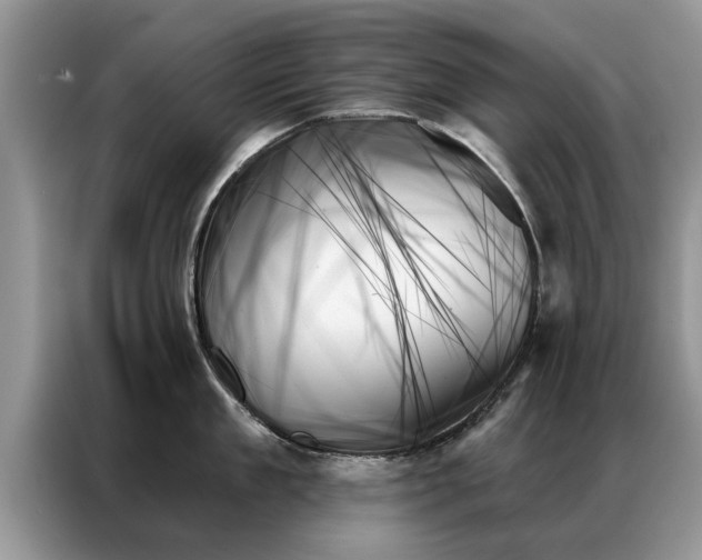 X0000087350909200704271417