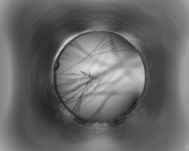X0000087350912200704271417