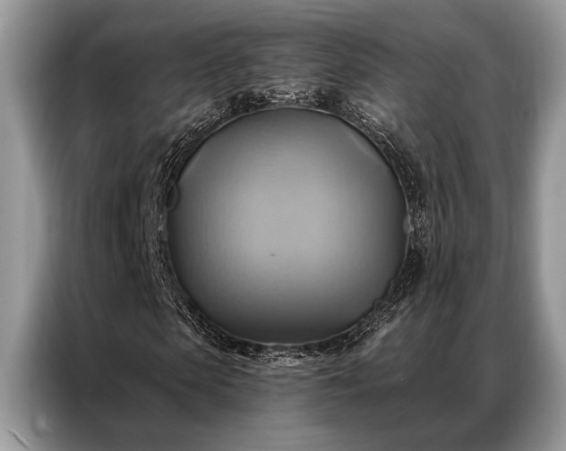 X0000087350913200704271416