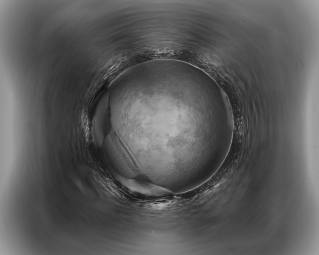 X0000087350916200704271416
