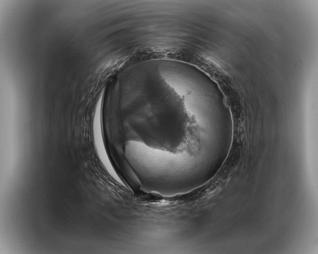 X0000087350917200704271416