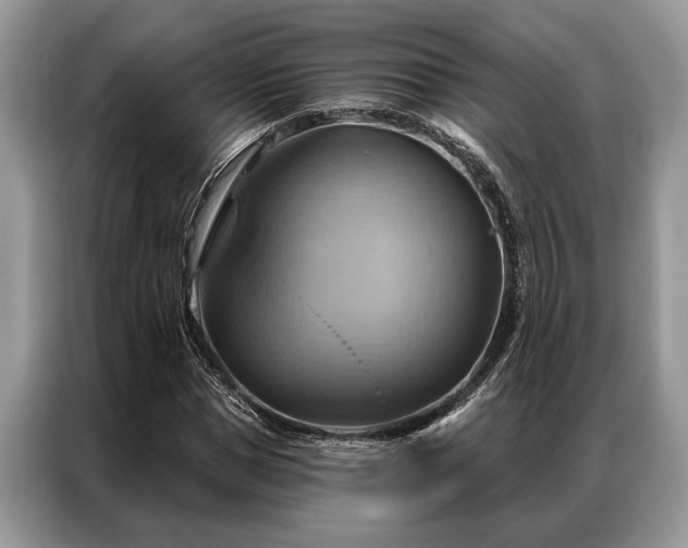 X0000087350921200704271417