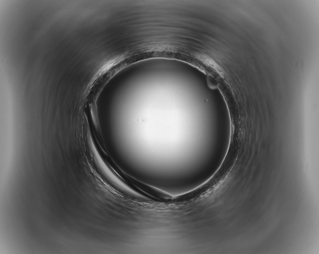 X0000087350922200704271417