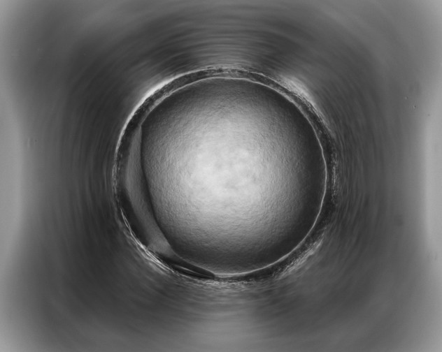 X0000087350924200704271417
