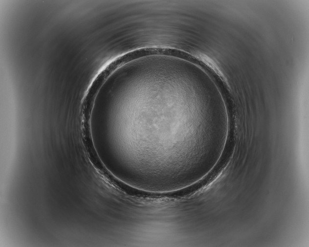 X0000087350926200704271417