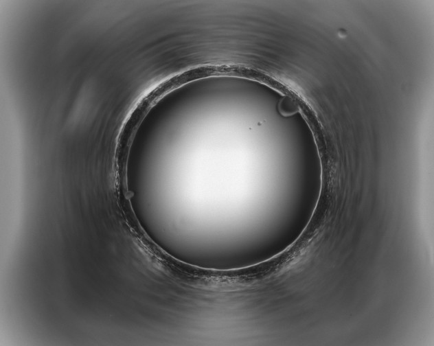 X0000087350927200704271417