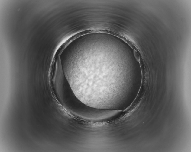 X0000087350928200704271417