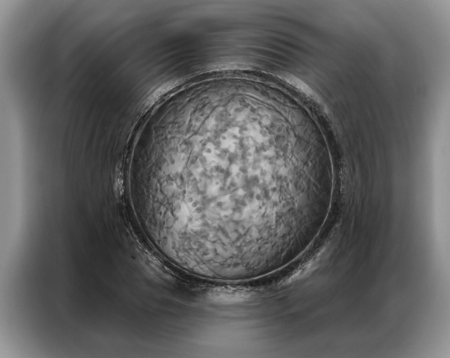 X0000087350929200704271417