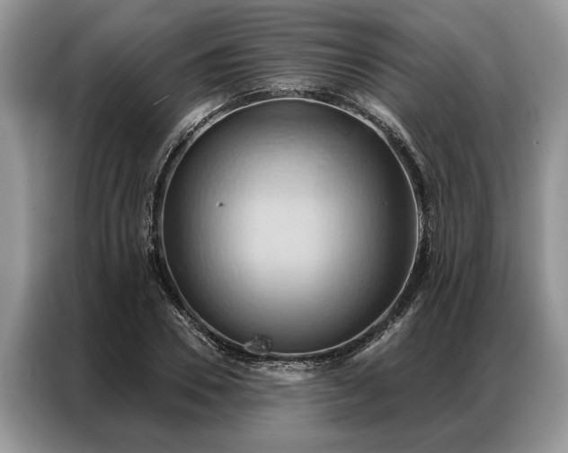 X0000087350930200704271417
