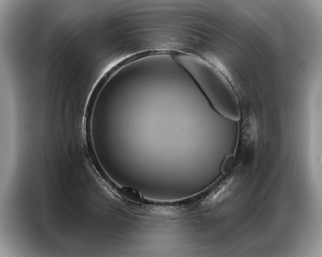 X0000087350932200704271417