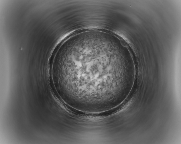 X0000087350933200704271417