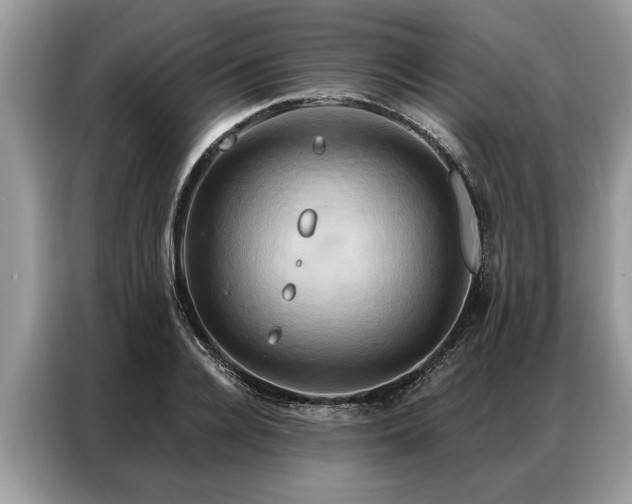 X0000087350936200704271417