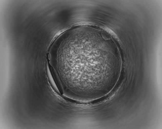 X0000087350937200704271417