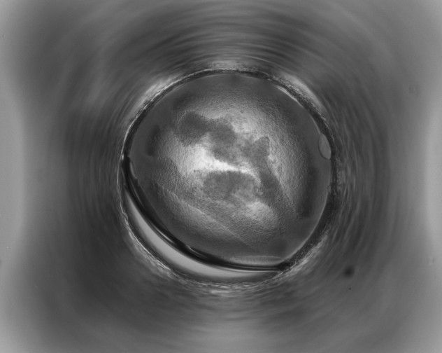 X0000087350938200704271417