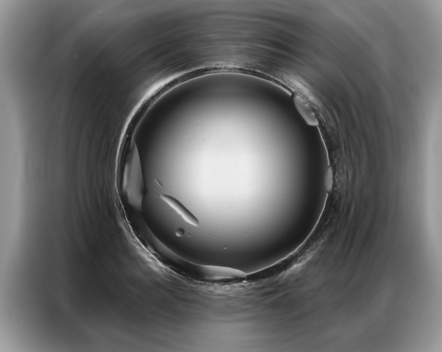 X0000087350940200704271417