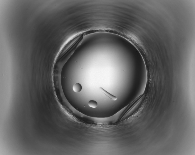 X0000087350942200704271417