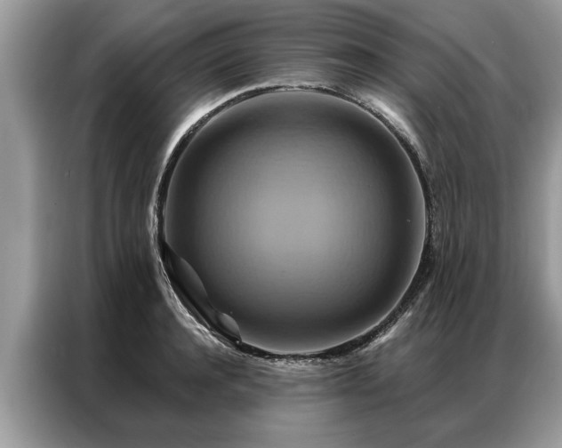 X0000087350944200704271417
