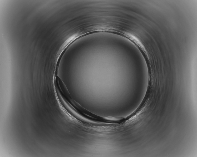 X0000087350946200704271417