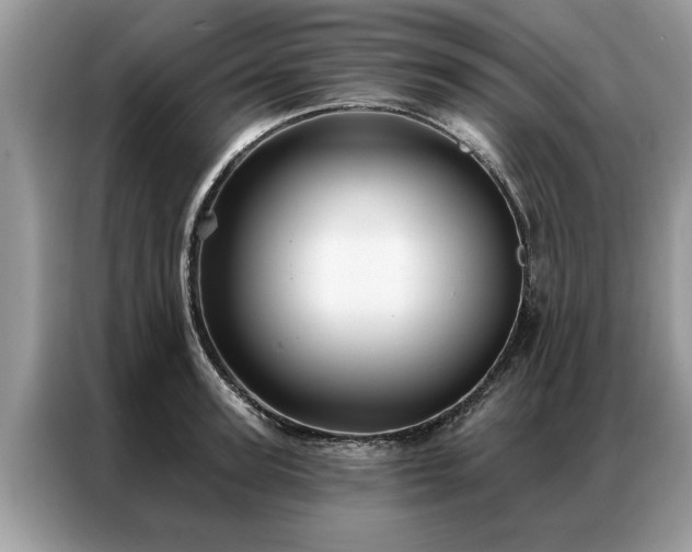 X0000087350947200704271417