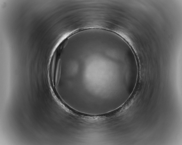 X0000087350949200704271417