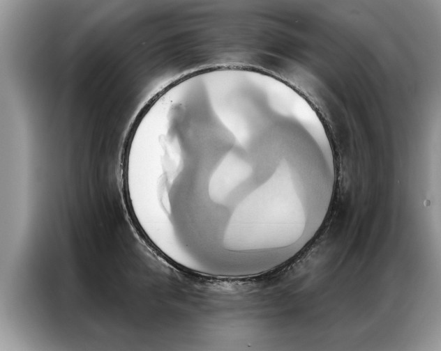 X0000087350950200704271417