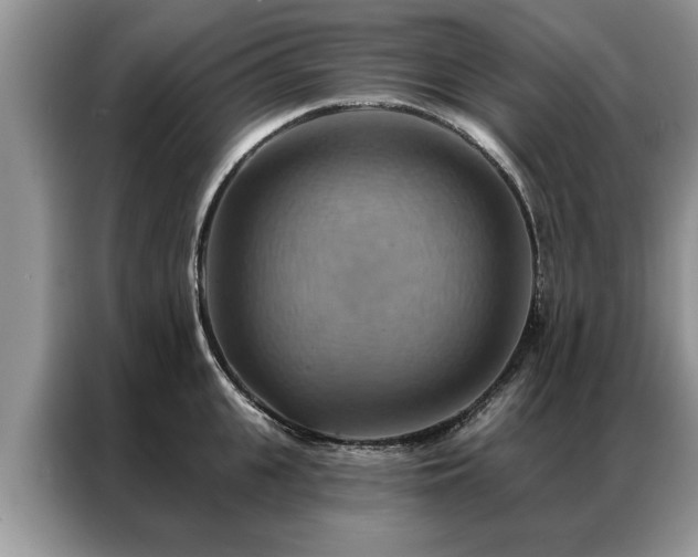 X0000087350951200704271417