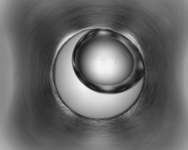 X0000087350952200704271417