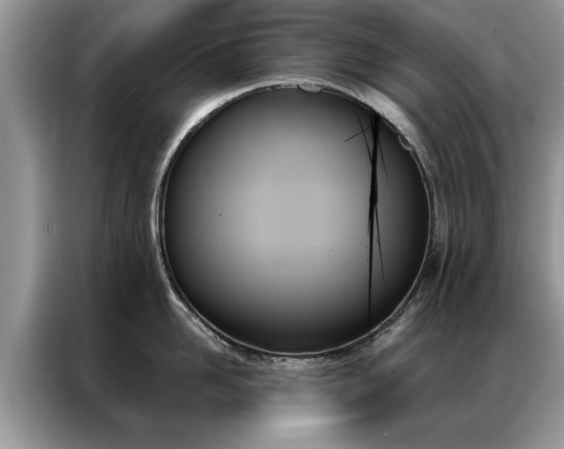 X0000087350958200704271417