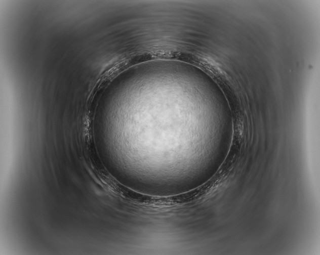 X0000087350964200704271416