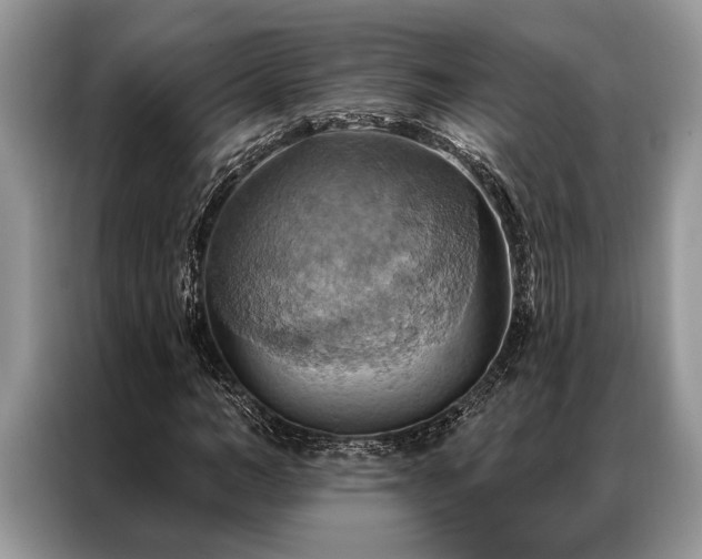 X0000087350966200704271416