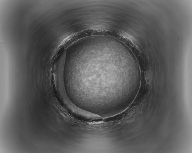 X0000087350968200704271416