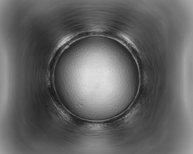 X0000087350970200704271416