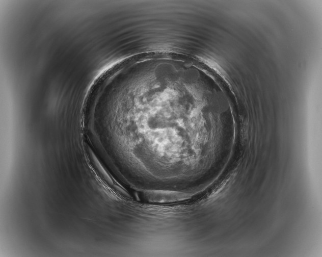 X0000087350971200704271416