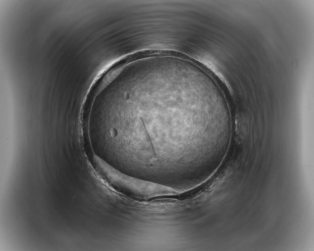 X0000087350972200704271416