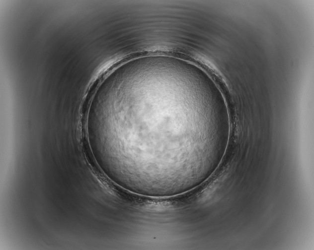 X0000087350978200704271416