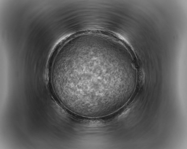 X0000087350979200704271416