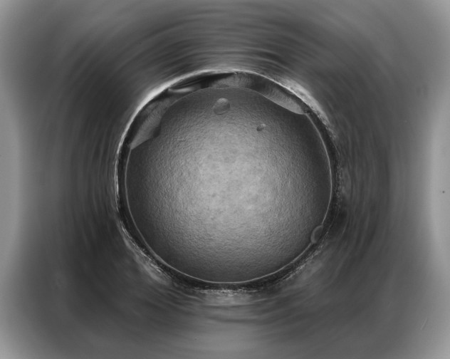 X0000087350980200704271416