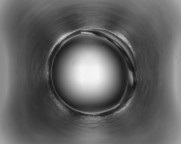 X0000087350981200704271416