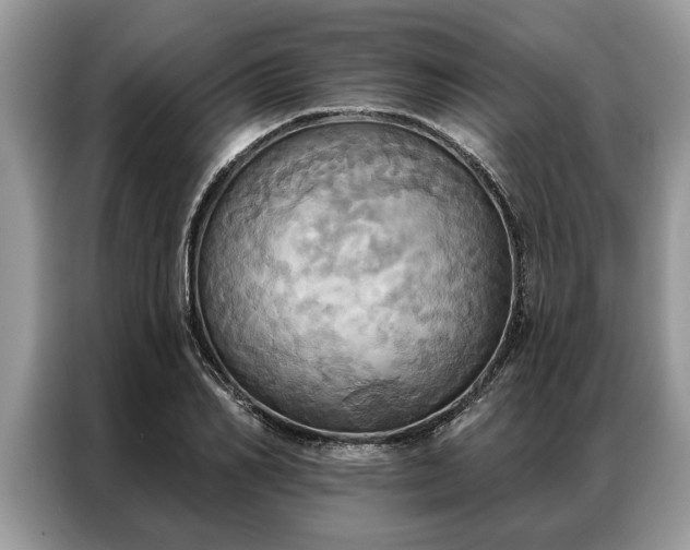 X0000087350982200704271416