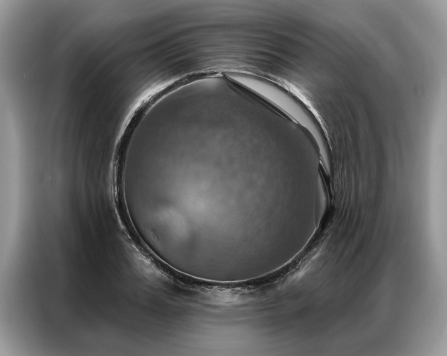X0000087350987200704271416