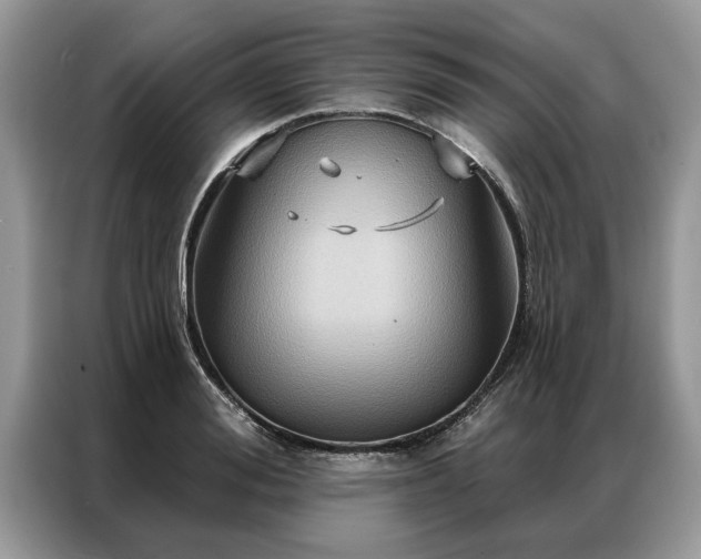 X0000087350988200704271416